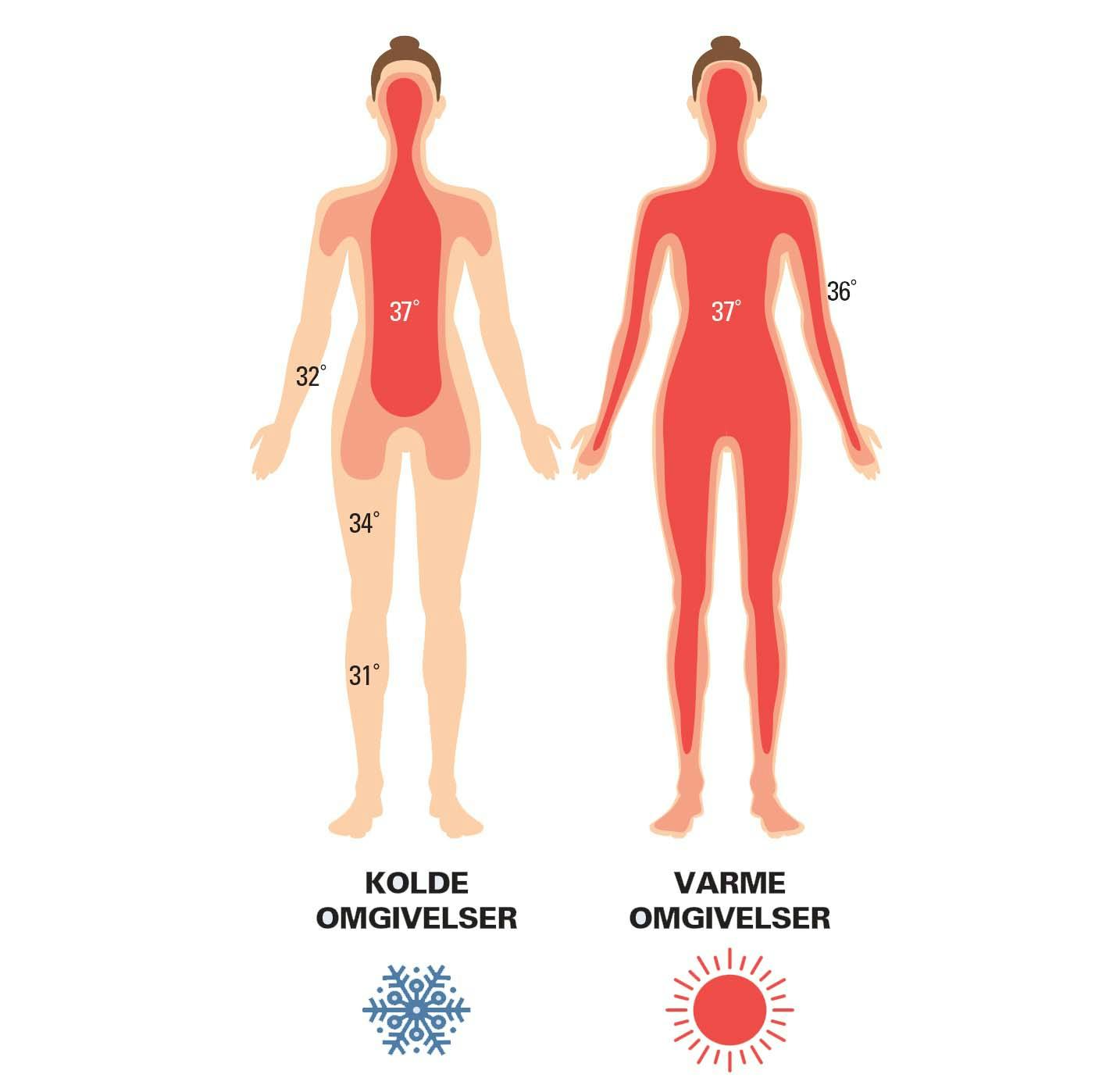 Kroppens temperatur under vinterbadning