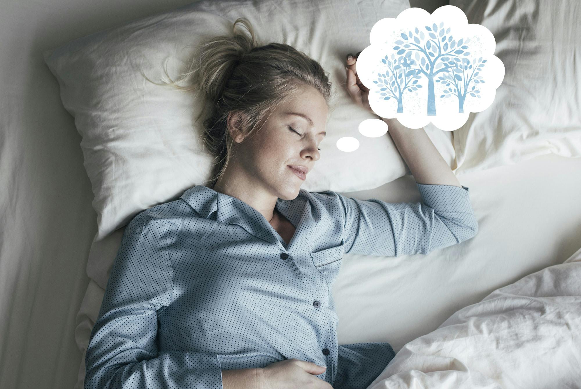 Meditation sömn – skog