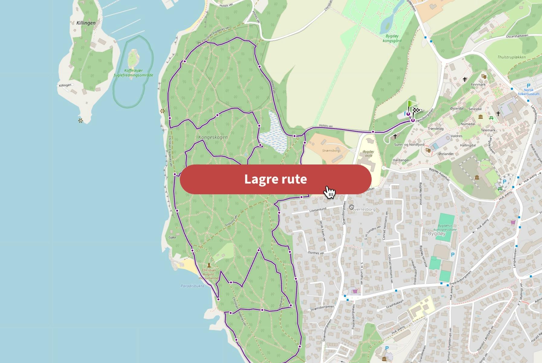 Rute med lagre-knapp