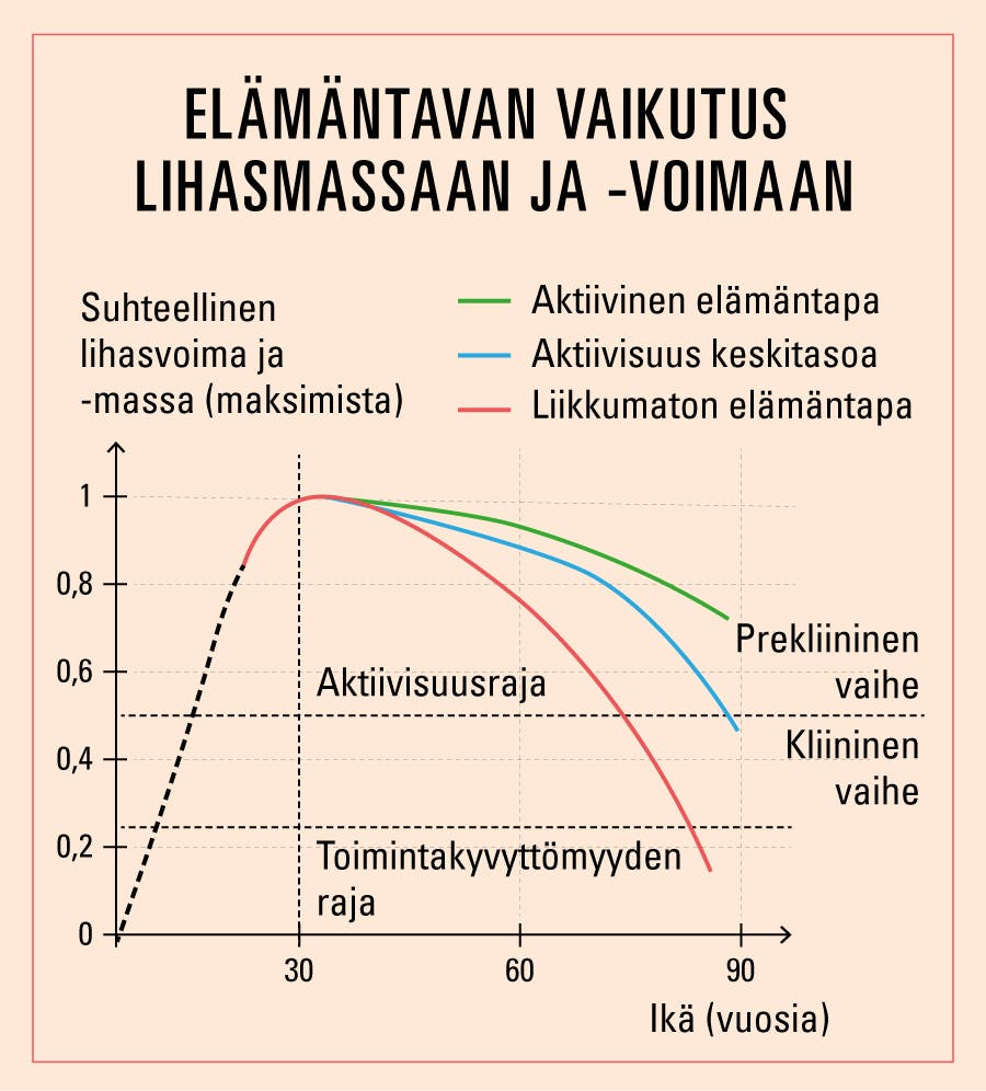 Kaavio, joka näyttää elämäntavan ja lihasmassan ja -voiman välisen yhteyden