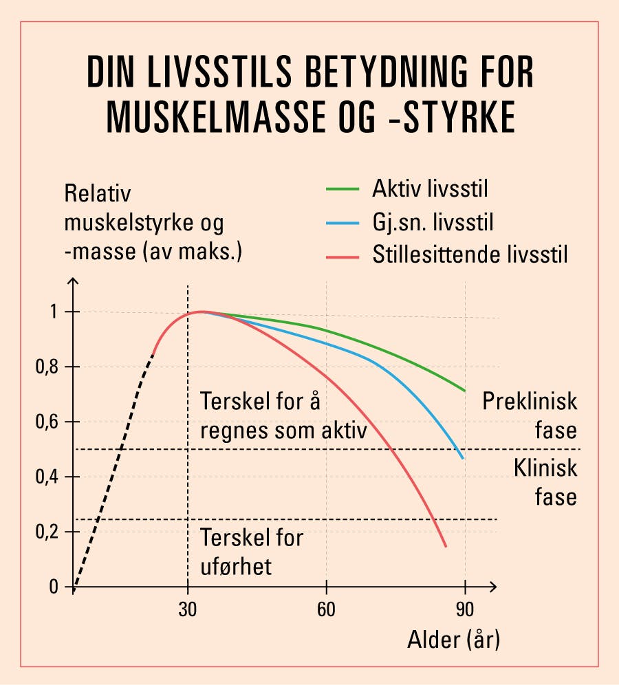 Graf som viser sammenheng mellom livsstil og muskelmasse og -styrke