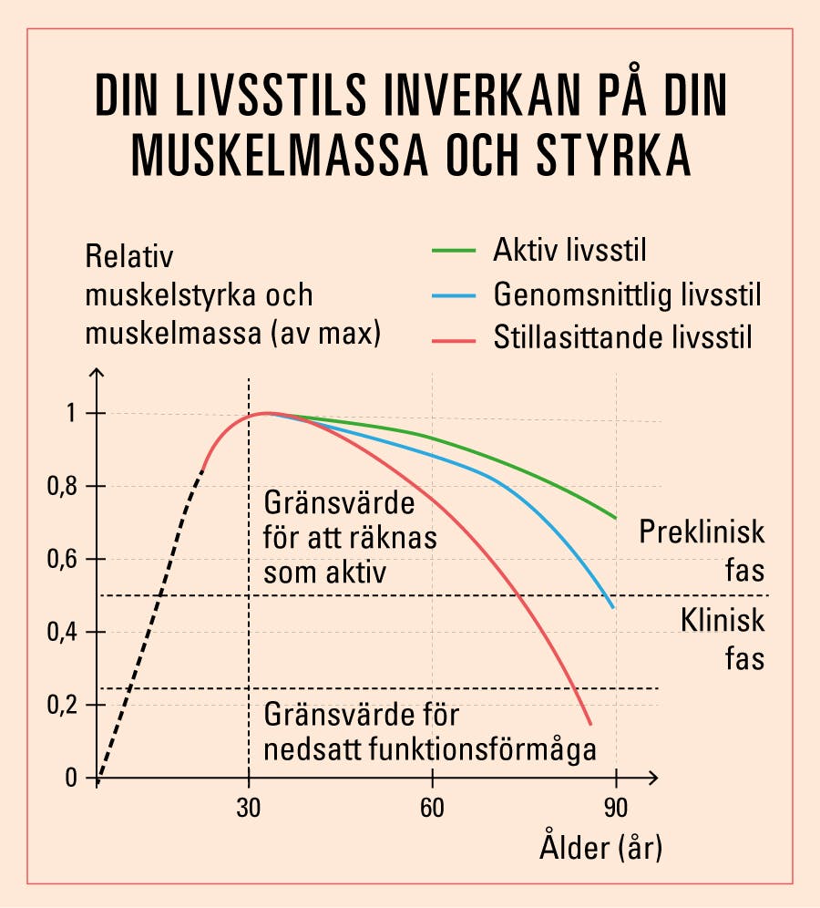 Graf som visar sambandet mellan livsstil och muskelmassa och -styrka