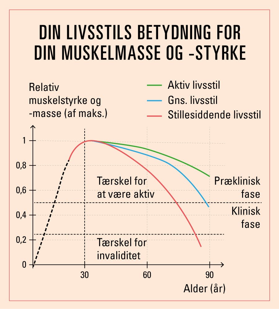 Graf, der viser sammenhæng mellem livsstil og muskelmasse og -styrke