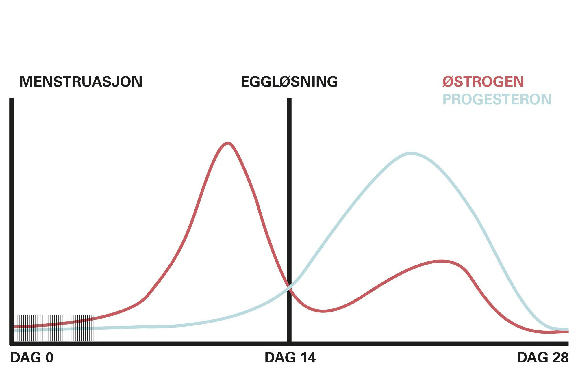 Graf over produksjonen av kjønnshormoner gjennom menstruasjonssyklusen.