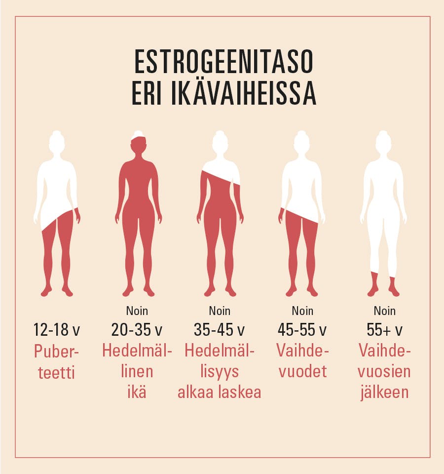 kuva naisen estrogeenitasosta eri ikäisenä.
