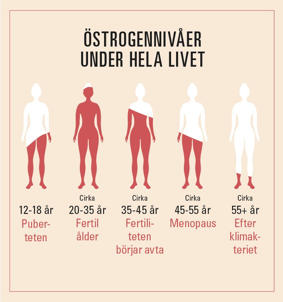 illustration visar kvinnliga östrogennivåer i alla åldrar