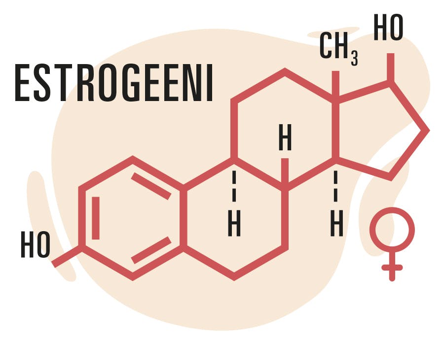 estrogeeni molekyylikaava