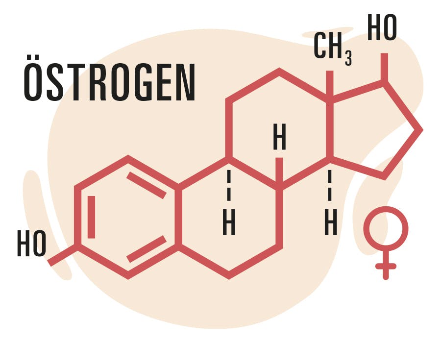 ostrogen molekyl-formel