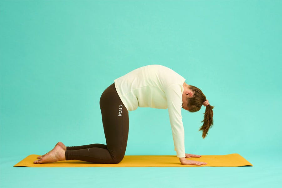 Øvelser for lænden – Kvinde laver katten - trin 2 af øvelse mod akut ondt i lænden