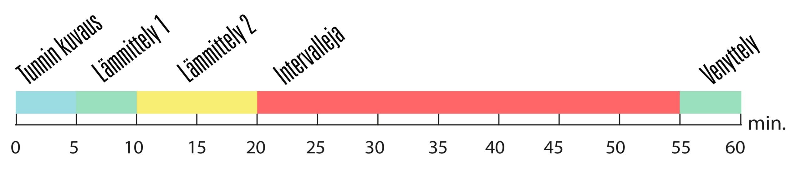 Kuvaus spinnngtunnin tyypillisestä rakenteesta.