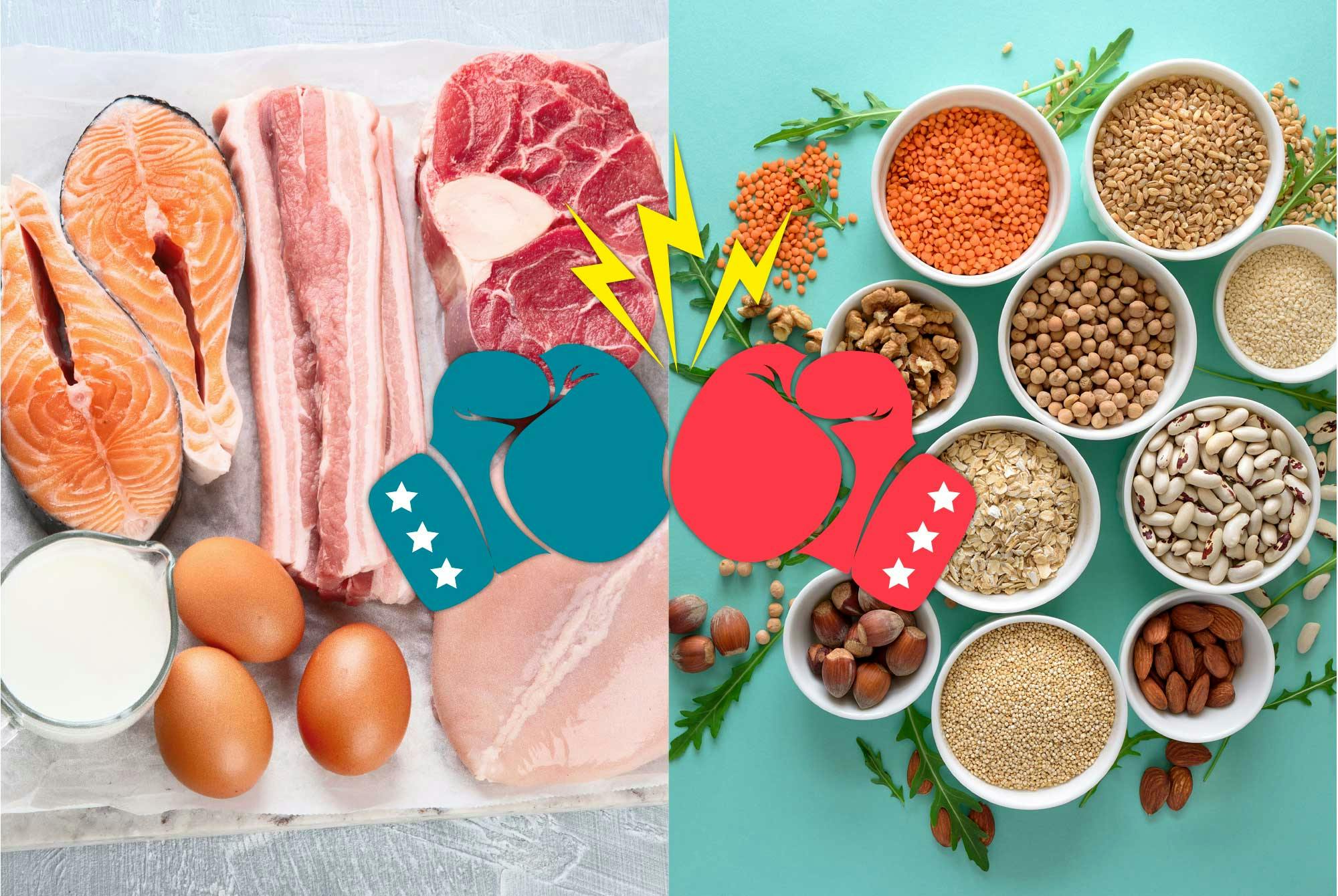 Ulike matvarer til to typer proteiner – animalske proteiner og vegetabilske proteiner.