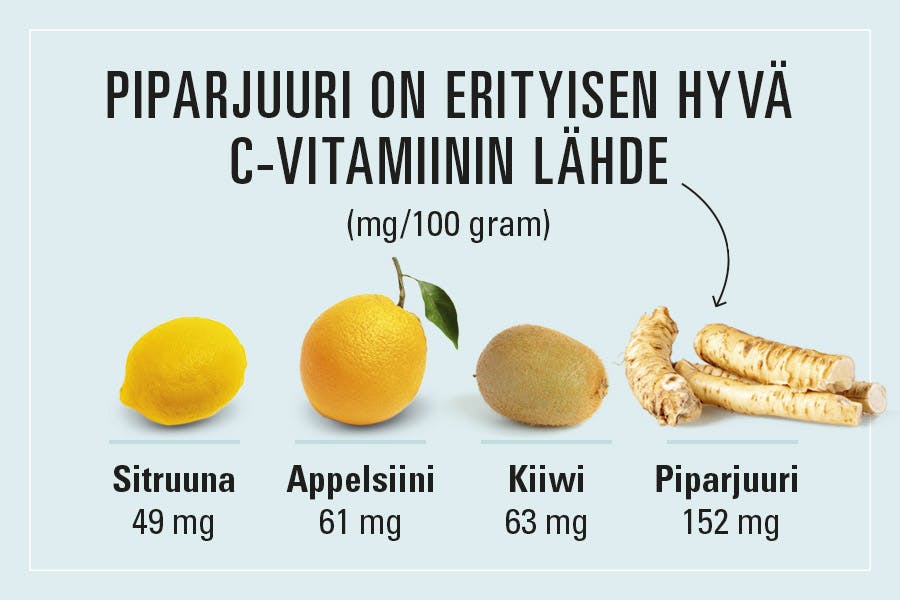 Piparjuuri sisältää runsaasti C-vitamiinia.