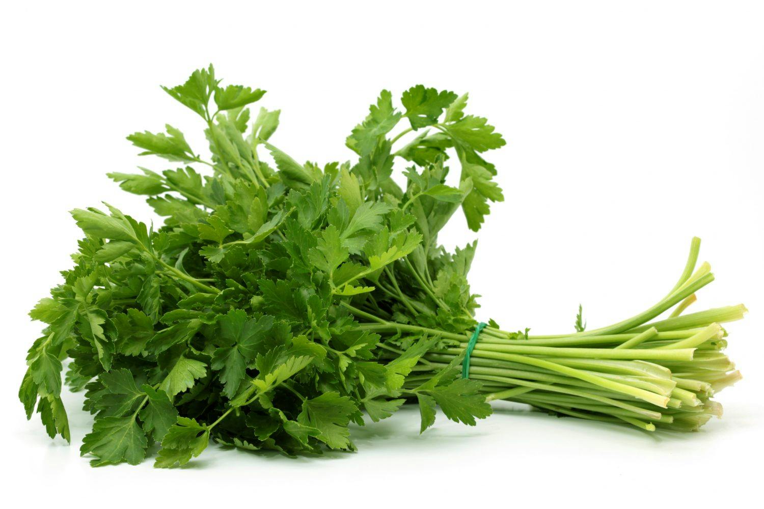 Persille mod hvidløgsånde