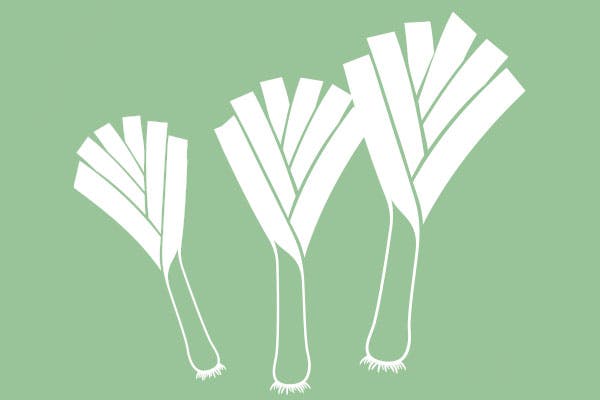 Grafik af porrer i 3 størrelser