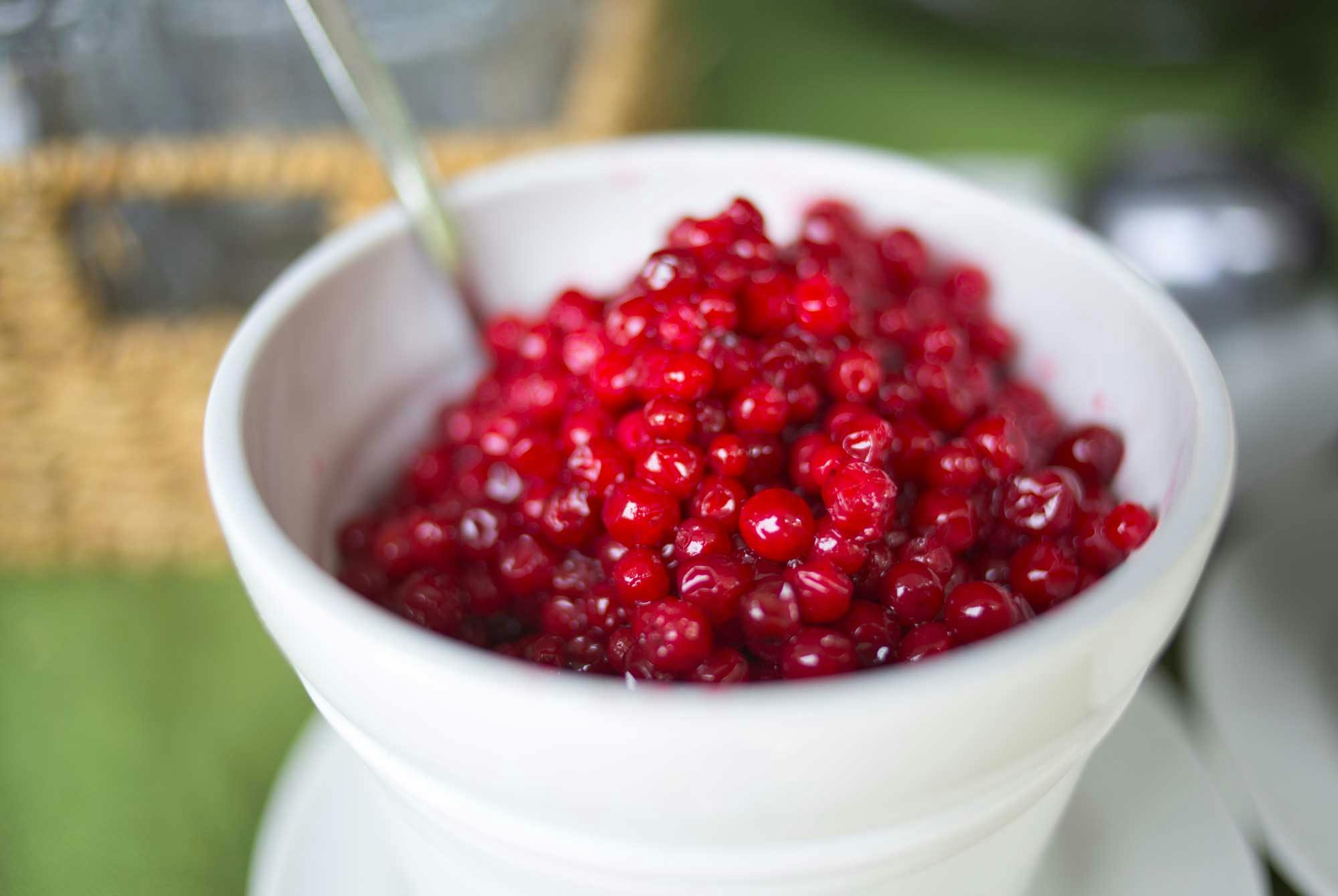Puolukkasurvosta valkoisessa kulhossa.