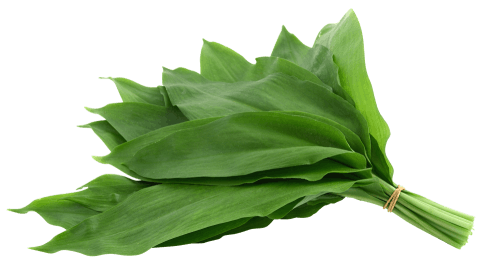 Ramsløg som et alternativ