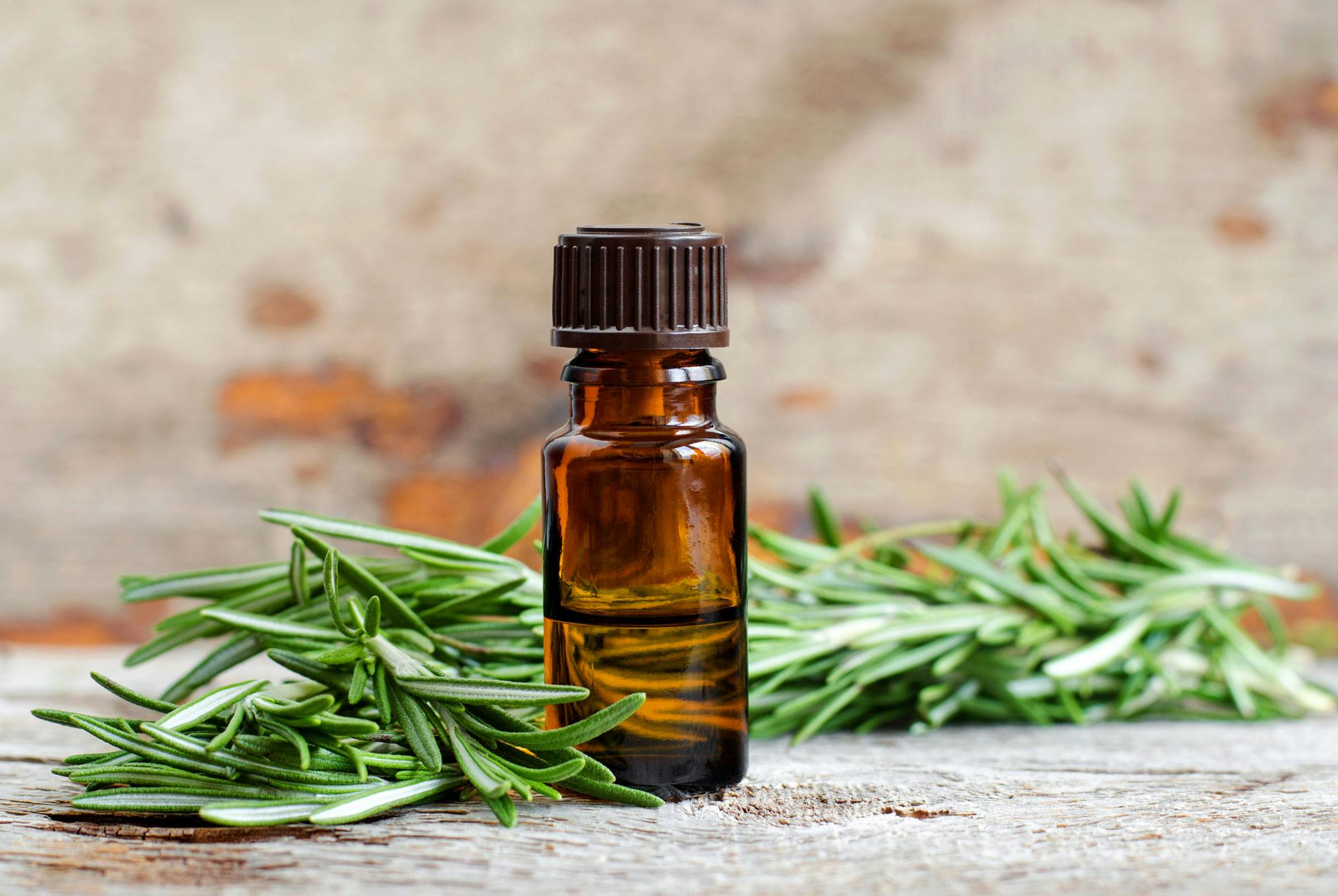 Rosmariiniöljyä ja rosmariininoksa.