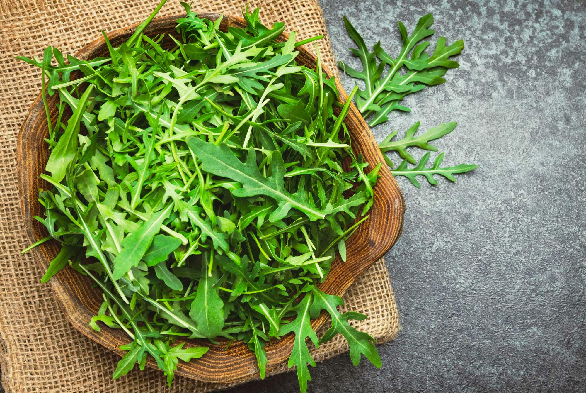 tallerken med rucola