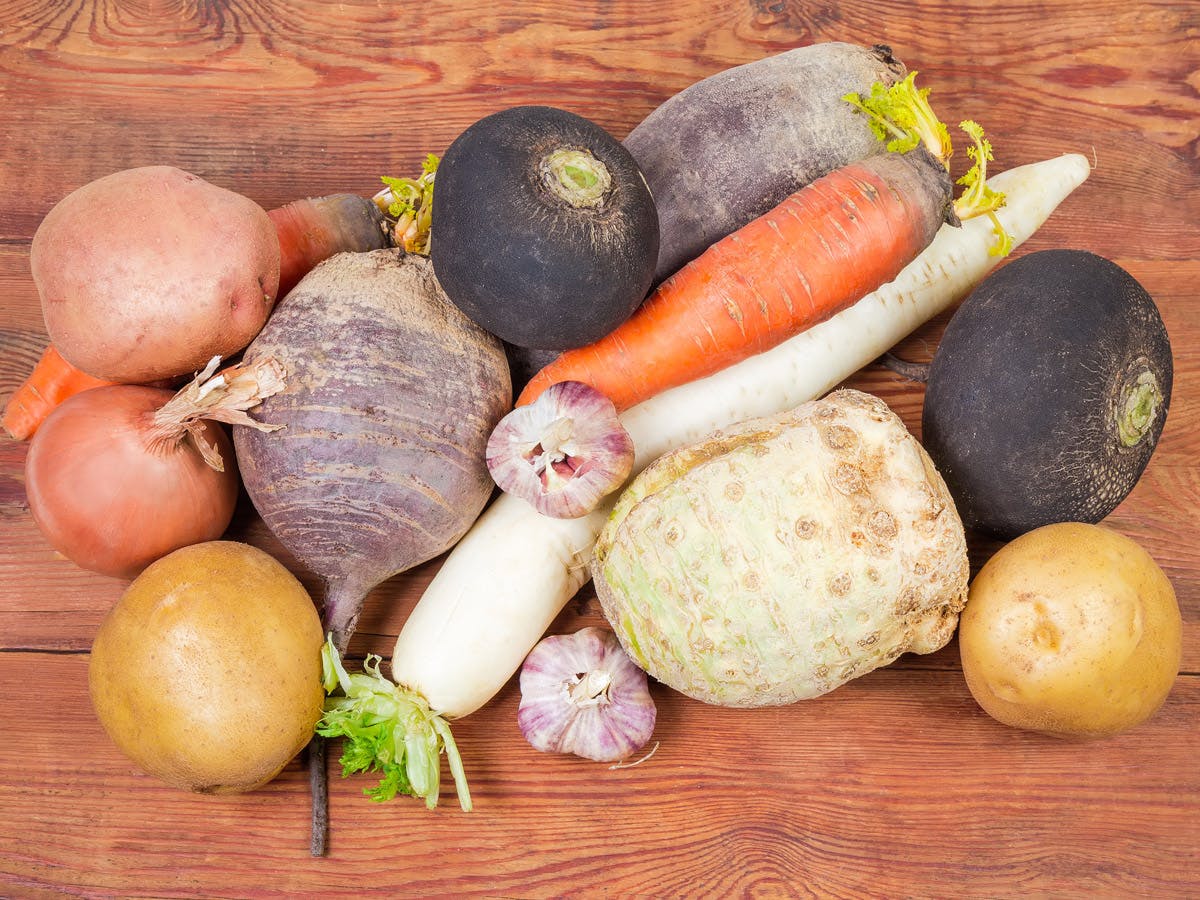 Selleri og andre rodfrugter