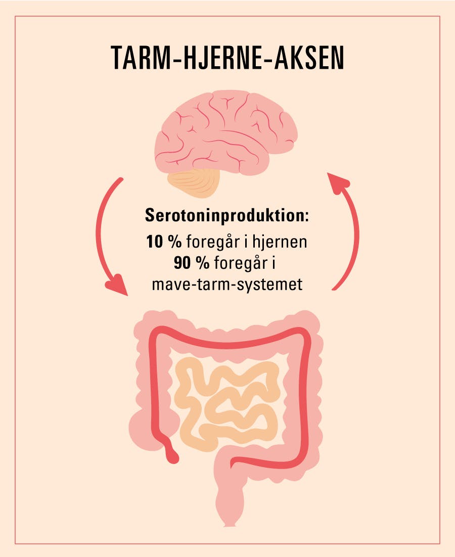 Serotoninproduktion i mave/tarm/hjerne