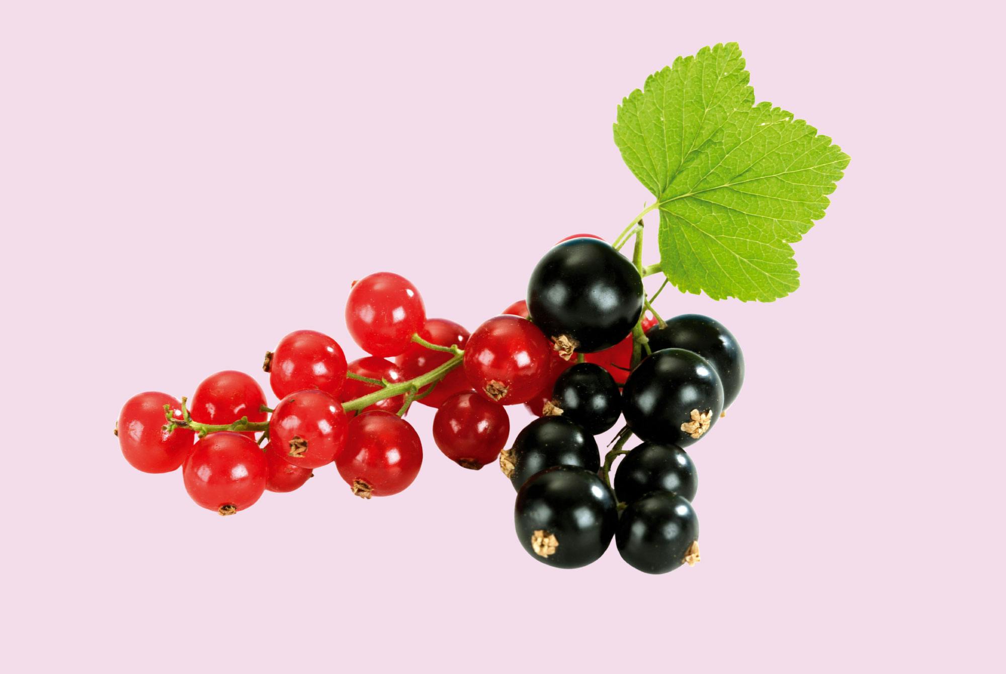 Røde bær er en kilde til C-vitamin