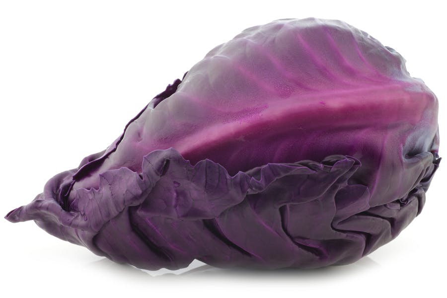 Rød spidskål - til spidskålssalat