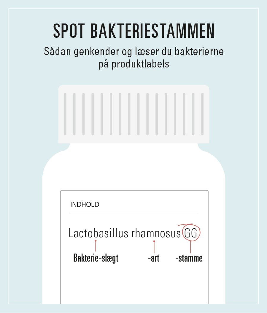 illustration af et pilleglas med mælkesyrebakterier