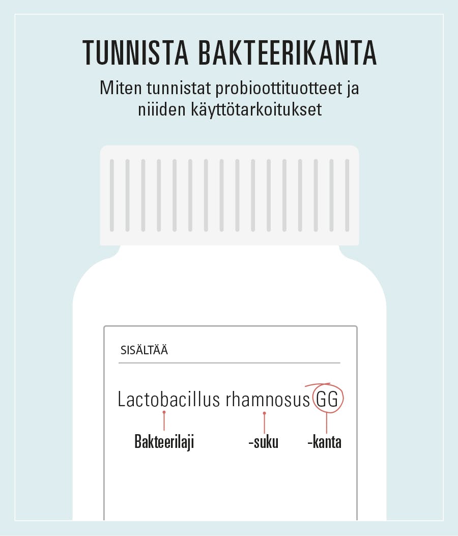 Maitohappobakteerilisäpurkki.