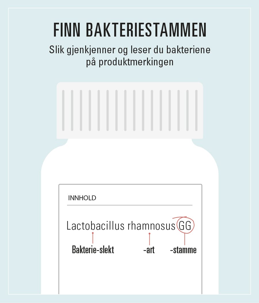 Illustrasjon av et pilleglass med melkesyrebakterier