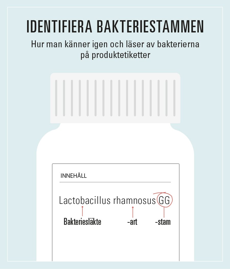 Illustration av en pillerburk med mjölksyrabakterier