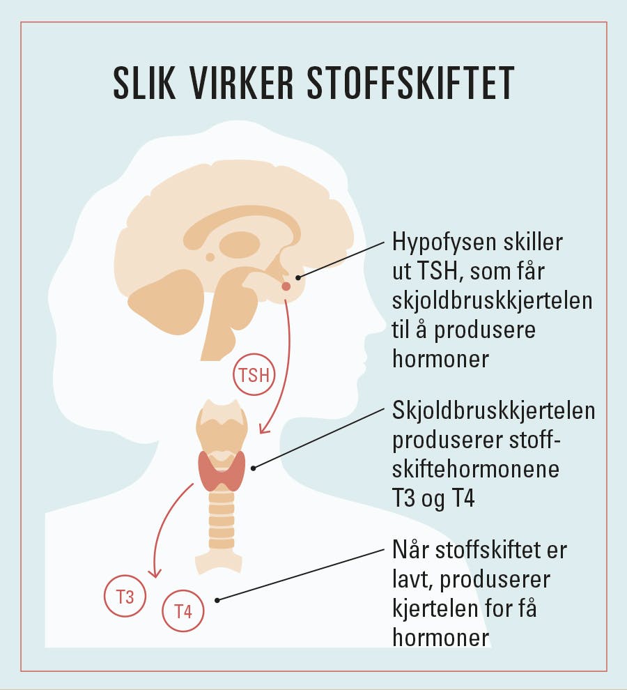 Grafikk med lavt stoffskifte