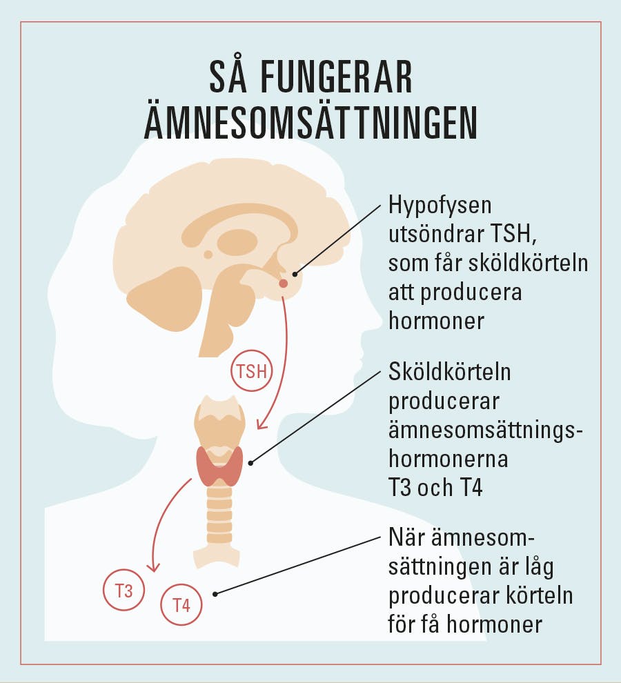 Låg ämnesomsättning grafik
