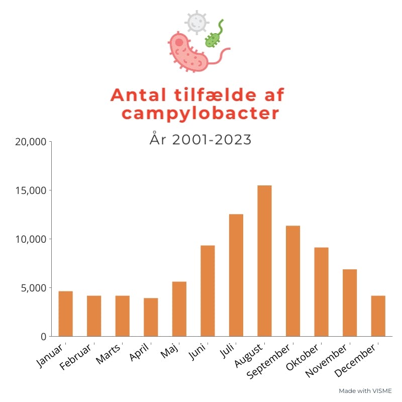 Grafikk over campylobacter