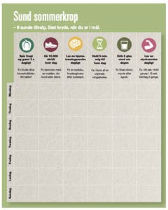 Sund sommerkrop-skema