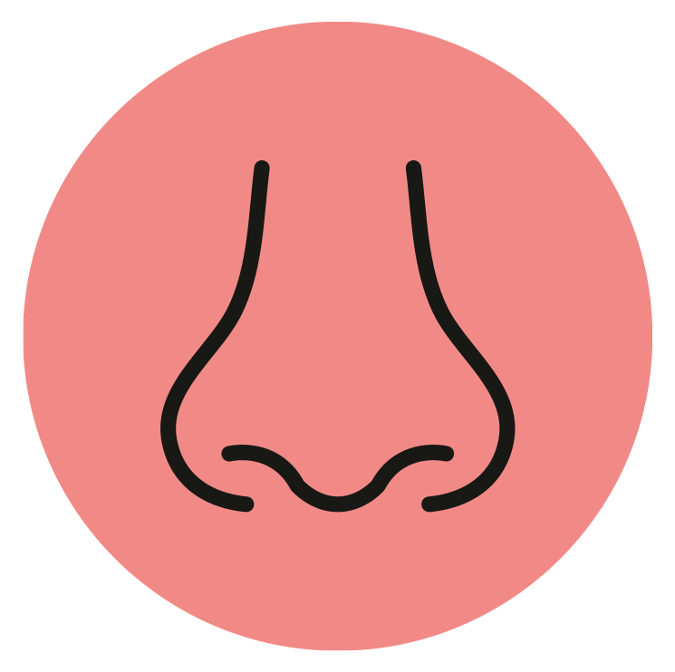 KAN DU UTLIGNE TRYKKET I ØRENE?