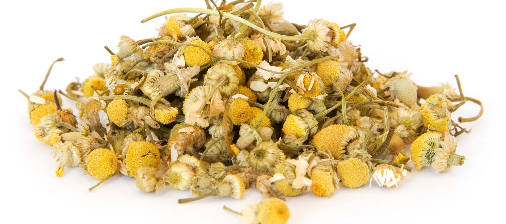 tørrede kamilleblomster