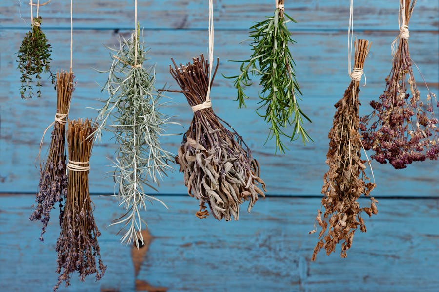 Urter til tørking, inkludert rosmarin