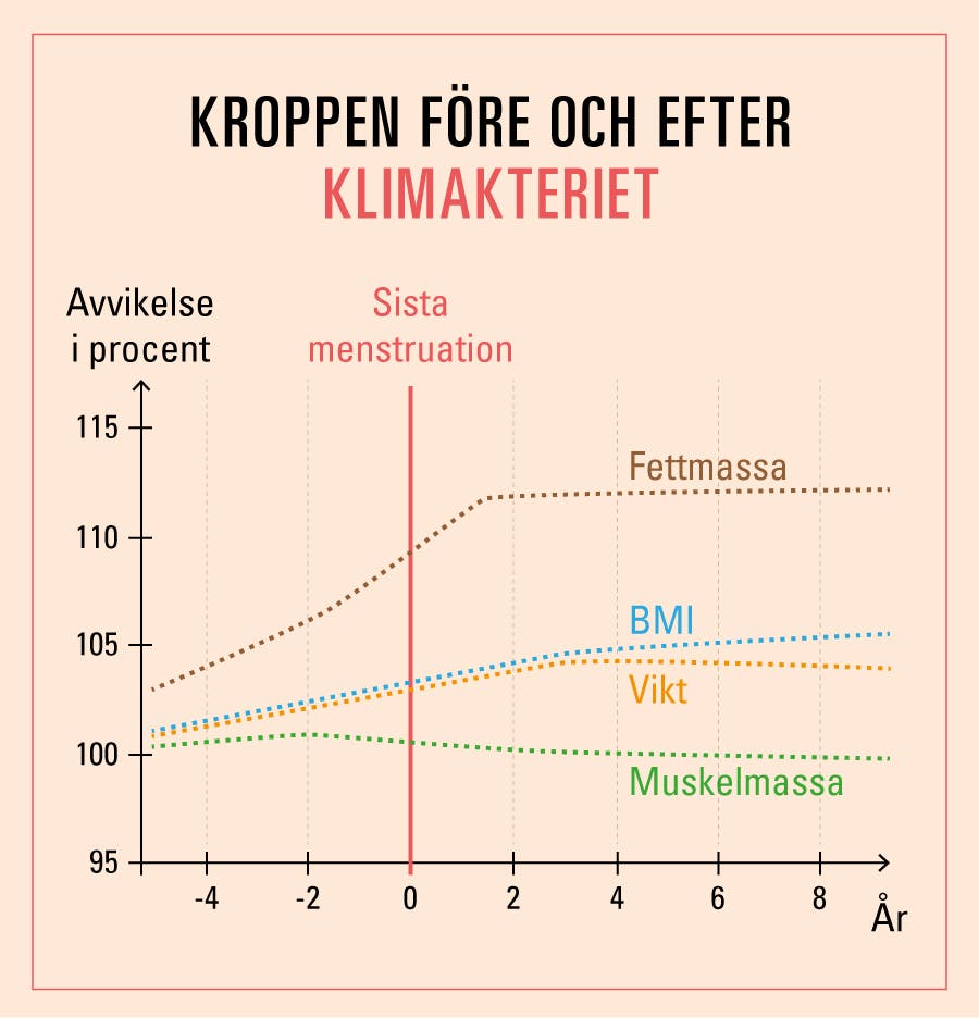 Graf, visar kroppens utveckling före och efter den senaste menstruationsperioden
