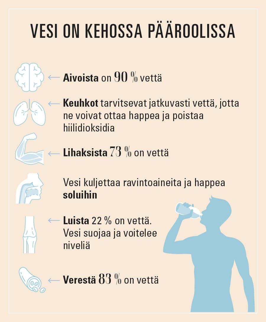 kuva siitä, miten paljon vettä tulisi juoda - vältä nestehukka