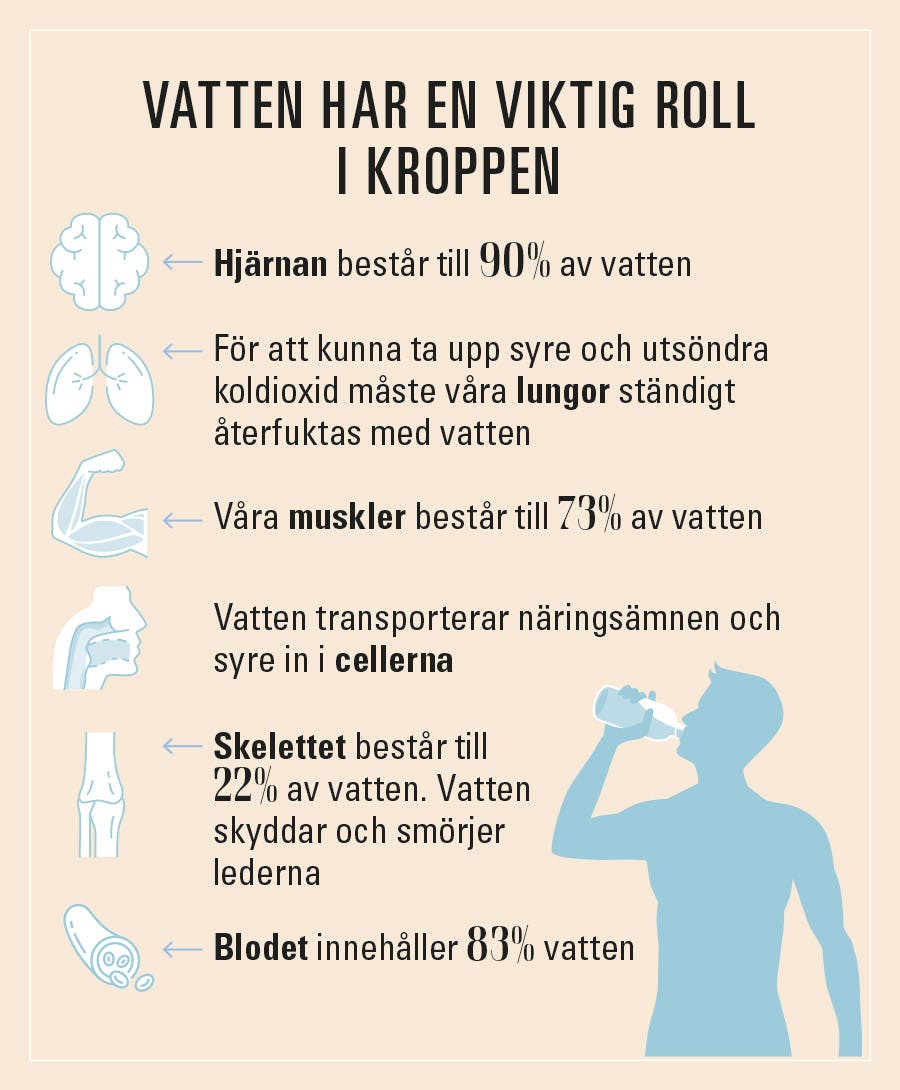 illustration av hur mycket vatten man bör dricka - undvik uttorkning