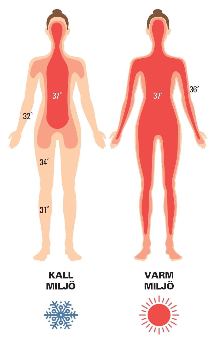 Det händer i kroppen när man vinterbadar