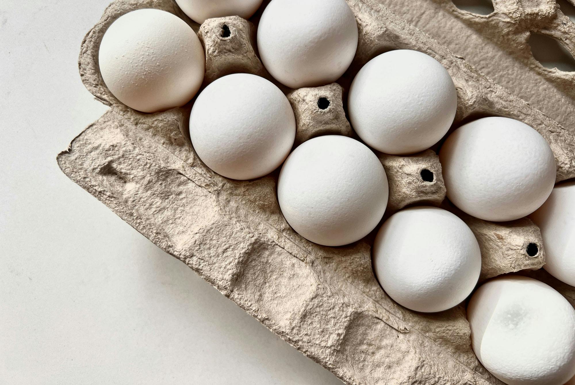 æg i bakke - er sjældent årsag til salmonella i dag