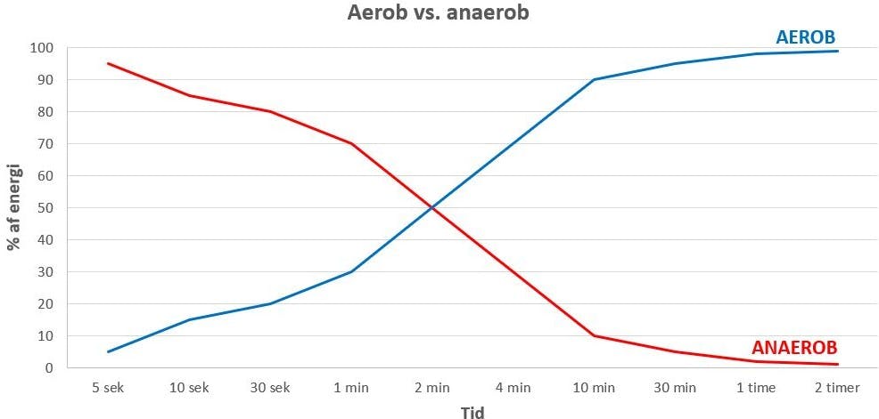 aerob, anaerob, schema. 