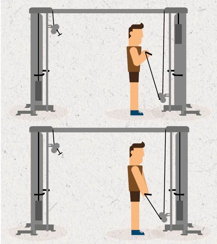 Person træner biceps curls.