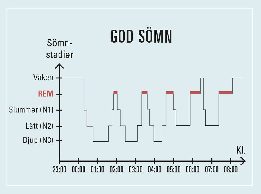 Exempel på en ung vuxens nattsömn med 5 sömncykler – och 3 perioder av djupsömn.