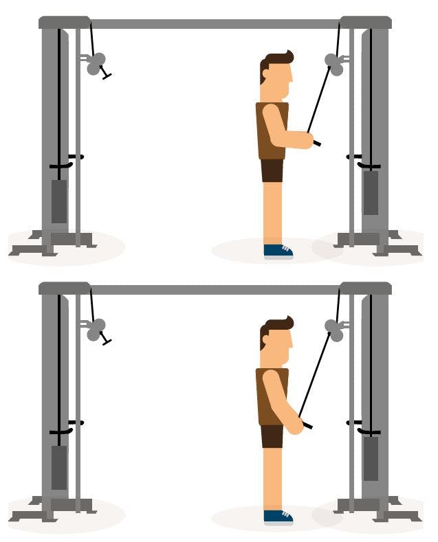 Person trener triceps nedpress.