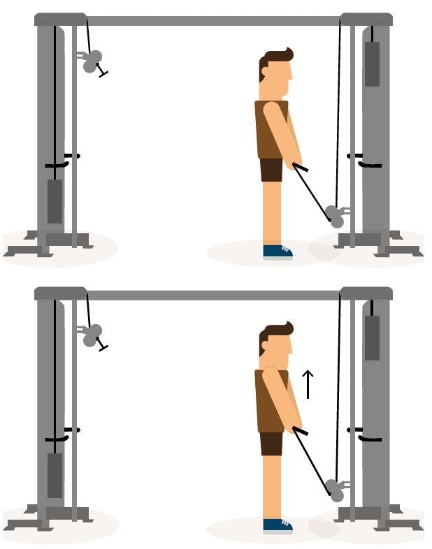 Tegning af person, som laver cable shrugs.