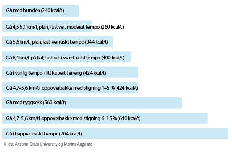 Oversigt over energiforbrug for gå-træning _NO