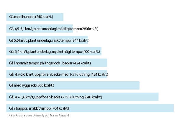 Oversigt over energiforbrug for gå-træning _SE