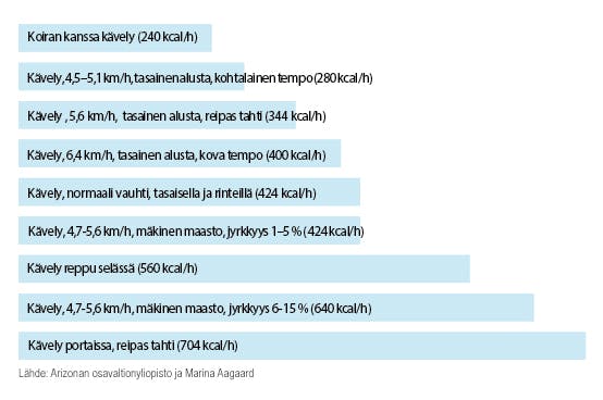 Eri kävelymuotojen energiankulutus